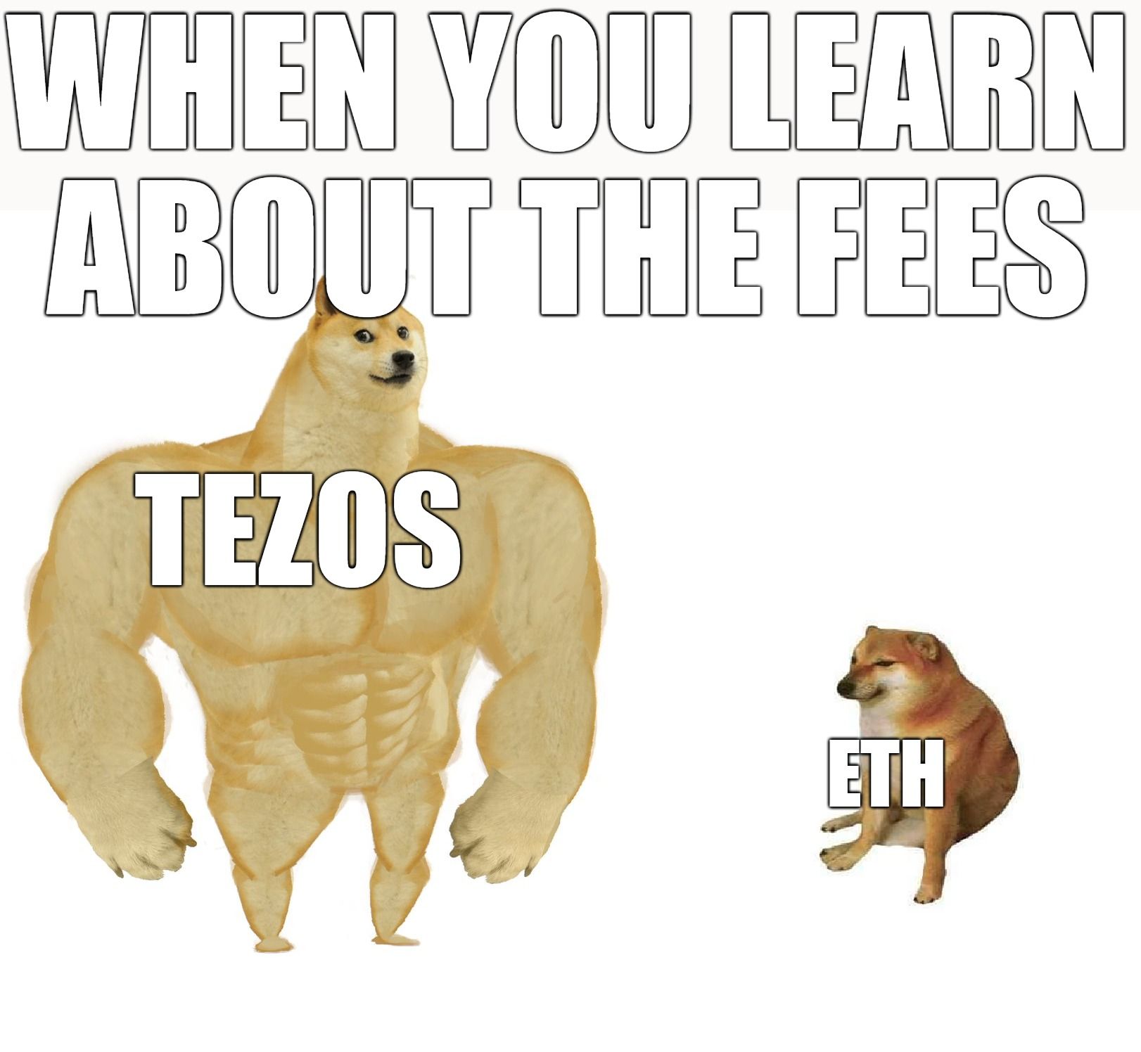 When you learn about the fees, Tezos wins!